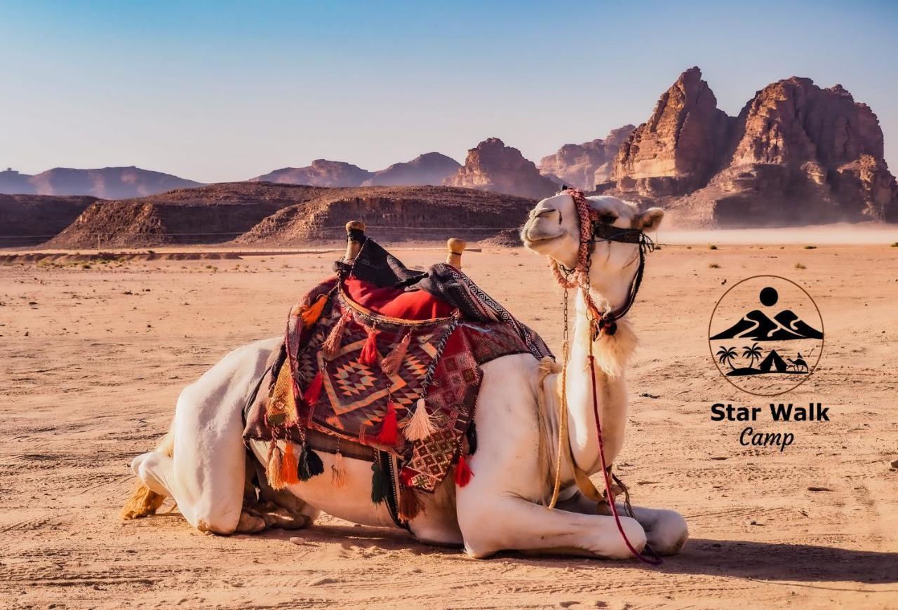 Star Walk Camp & Tours Wadi Rum
