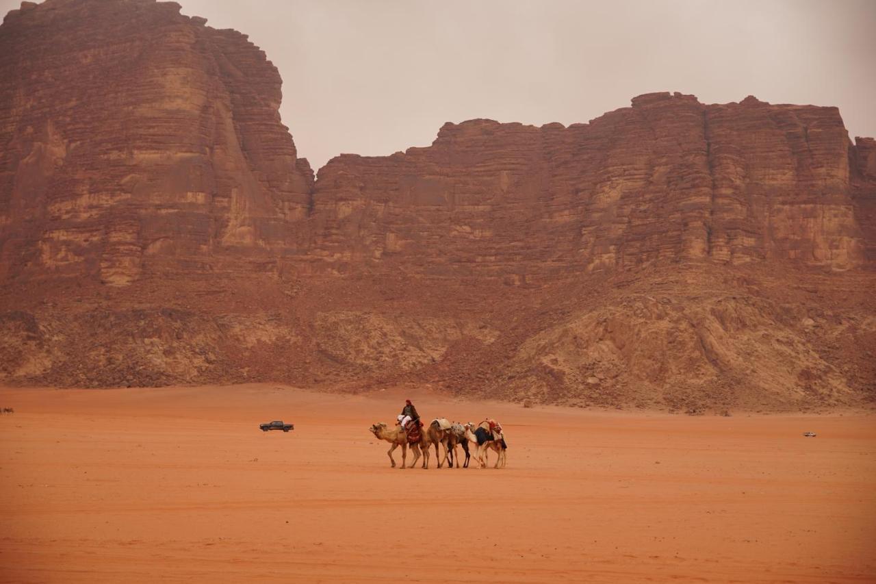 Star Walk Camp & Tours *