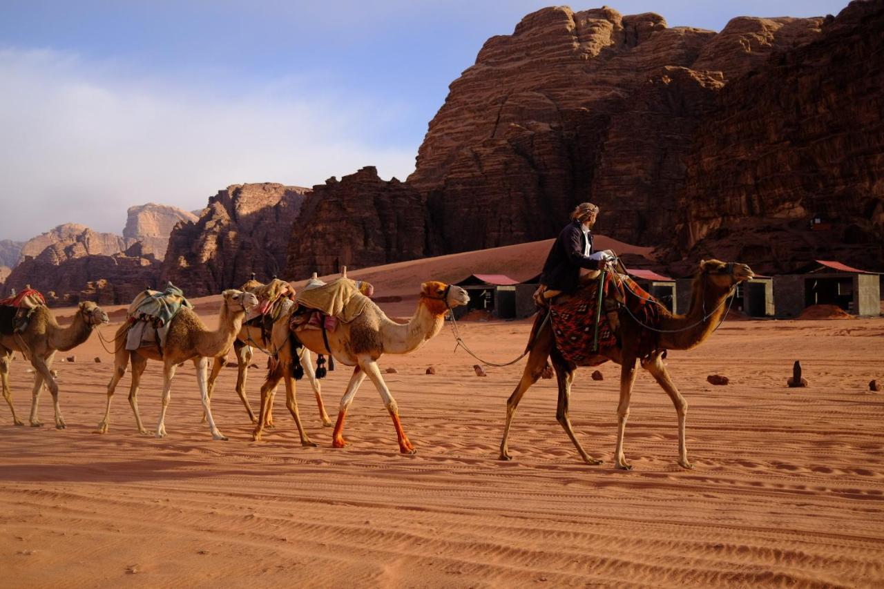 Star Walk Camp & Tours *