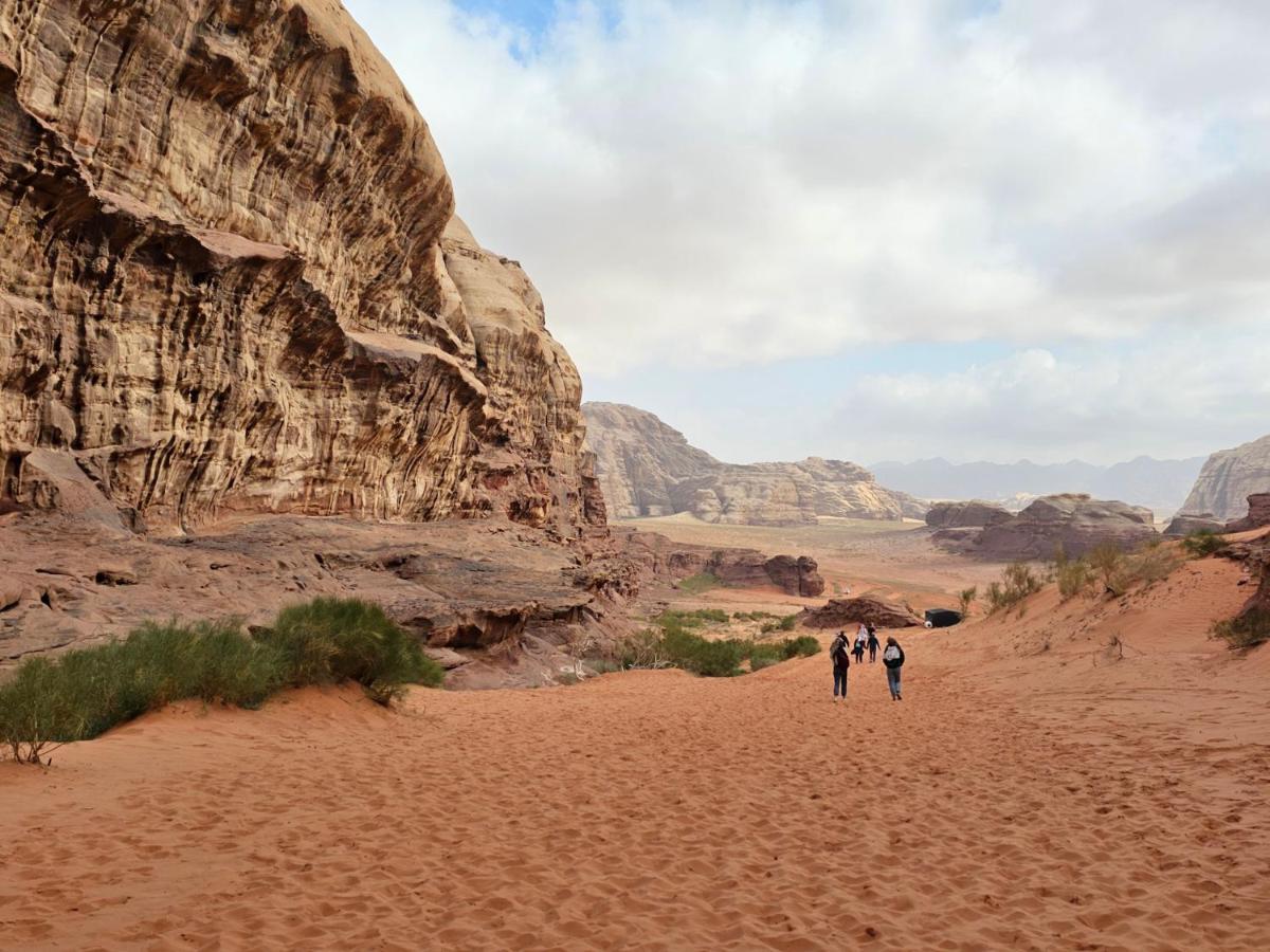 Star Walk Camp & Tours